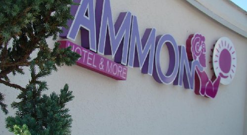 Ammon