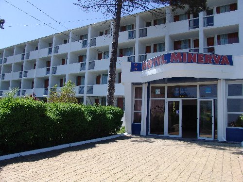 Minerva